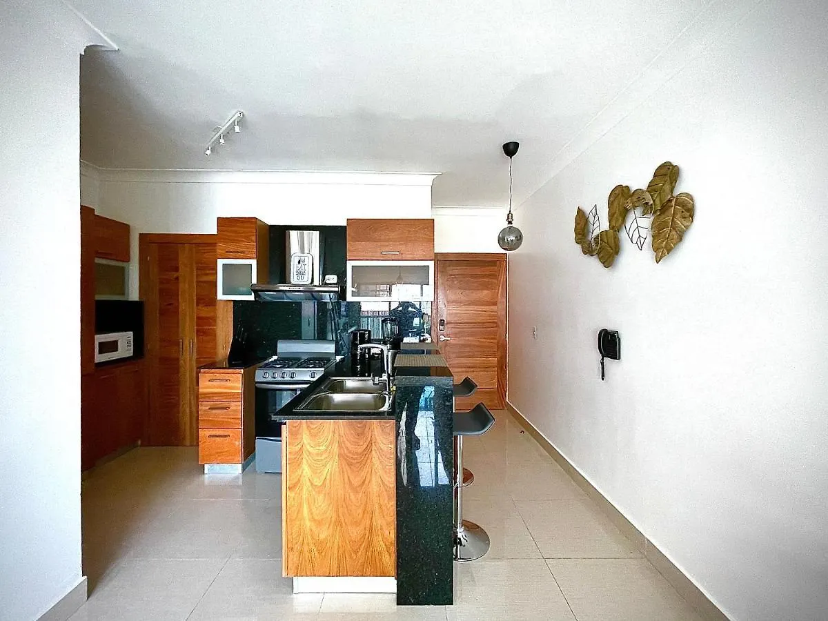 Deluxe Suite 1 Bdr City Ocean View, Pool And Gym Santo Domingo