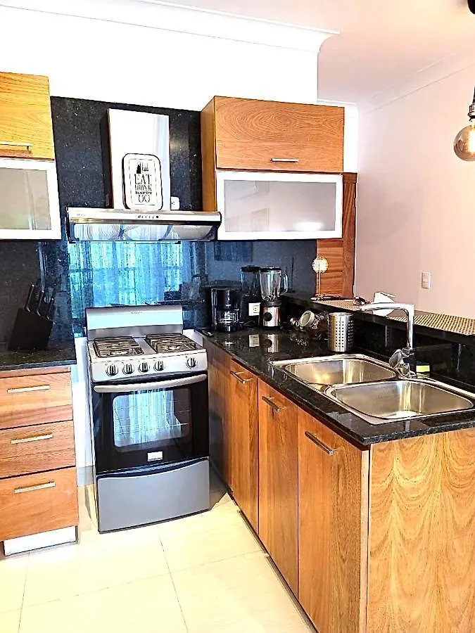 Deluxe Suite 1 Bdr City Ocean View, Pool And Gym Santo Domingo